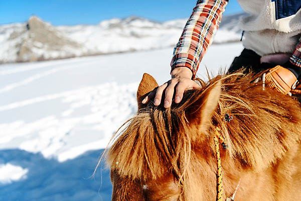 포토 JPG 주간 손 남자 여행 겨울 산 털 한명 사람 근접촬영 성인 야외 신체부위 30대 설원 한국인 눈 말_동물 승마 몽골 성인남자한명만 쓰다듬기 국내포토 자연요소 1 계절 아시아 스포츠 뷰포인트 포유류 모션 날씨 눈_날씨 동양인 장년 남자한명만 성인남자만 파일형식
