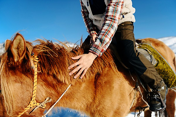 포토 JPG 주간 한마리 손 남자 여행 겨울 산 한명 사람 근접촬영 성인 야외 옆모습 신체부위 30대 설원 한국인 하반신 눈 잡기 말_동물 승마 몽골 고삐 성인남자한명만 쓰다듬기 국내포토 자연요소 1 계절 아시아 스포츠 뷰포인트 포유류 모션 날씨 눈_날씨 동양인 장년 남자한명만 성인남자만 파일형식