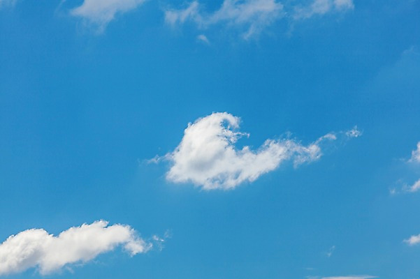 포토 JPG 주간 구름 자연 하늘 풍경 사람없음 야외 여름 파란색 맑음 여름풍경 뭉게구름 국내포토 자연요소 계절 컬러 날씨 생태계 파일형식 구름_자연 여름_계절