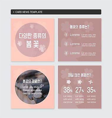 PSD 템플릿 웹템플릿 봄꽃 종류 사람없음 담장 봄 다양 퍼센트 꽃말 기와담장 카드뉴스 이미지템플릿 계절 꽃 다수 기와 특수기호 파일형식