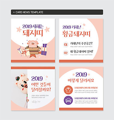 PSD 템플릿 옷 여자 웹템플릿 새로움 새해 선물 한명 사람 상반신 20대 성인 선물상자 상자 소파 보라색 돼지띠 돼지 변화 돼지캐릭터 동물탈 새해선물 인형탈 성인여자한명만 2019년 카드뉴스 기해년 황금돼지 이미지템플릿 돼지의해 1 컬러 동물캐릭터 컨셉 의자 포유류 청년 십이지신 연도 탈 여자한명만 성인여자만 파일형식 명절선물