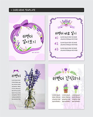 PSD 템플릿 리본 화분 꽃다발 웹템플릿 사람없음 꽃병 보라색 정보 라벤더 식물키우기 카드뉴스 이미지템플릿 꽃 컬러 허브 파일형식