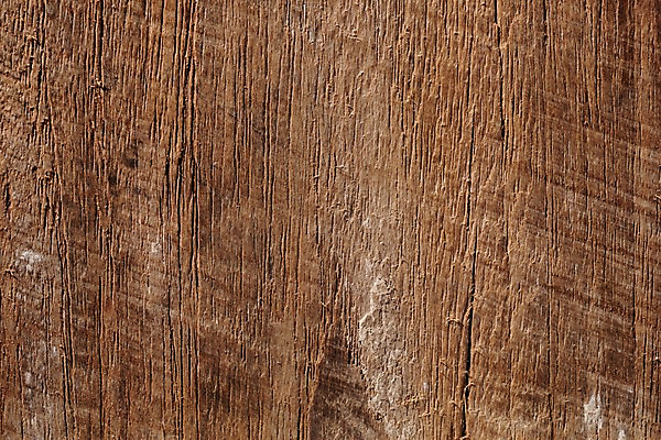 포토 JPG 스튜디오촬영 나무 백그라운드 재질 실내 근접촬영 사람없음 목재 나뭇결 갈색 오브젝트 질감 카피스페이스 국내포토 식물 뷰포인트 컬러 재료 내부 공백 파일형식