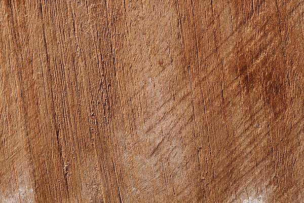 포토 JPG 스튜디오촬영 나무 백그라운드 재질 실내 근접촬영 사람없음 목재 나뭇결 갈색 오브젝트 질감 카피스페이스 국내포토 식물 뷰포인트 컬러 재료 내부 공백 파일형식