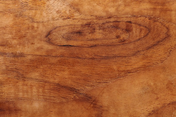 포토 JPG 스튜디오촬영 나무 백그라운드 재질 실내 근접촬영 사람없음 목재 나뭇결 갈색 오브젝트 질감 카피스페이스 국내포토 식물 뷰포인트 컬러 재료 내부 공백 파일형식