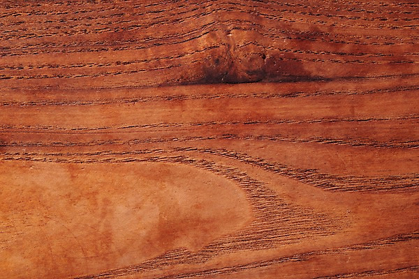 포토 JPG 스튜디오촬영 나무 백그라운드 재질 실내 근접촬영 사람없음 목재 나뭇결 갈색 오브젝트 질감 카피스페이스 국내포토 식물 뷰포인트 컬러 재료 내부 공백 파일형식