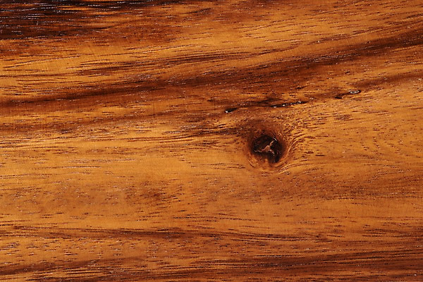 포토 JPG 스튜디오촬영 나무 백그라운드 재질 실내 근접촬영 사람없음 목재 나뭇결 갈색 오브젝트 질감 카피스페이스 국내포토 식물 뷰포인트 컬러 재료 내부 공백 파일형식