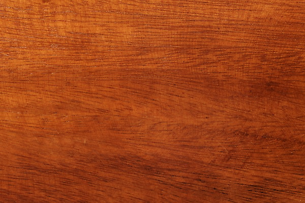 포토 JPG 스튜디오촬영 나무 백그라운드 재질 실내 근접촬영 사람없음 목재 나뭇결 갈색 오브젝트 질감 카피스페이스 국내포토 식물 뷰포인트 컬러 재료 내부 공백 파일형식