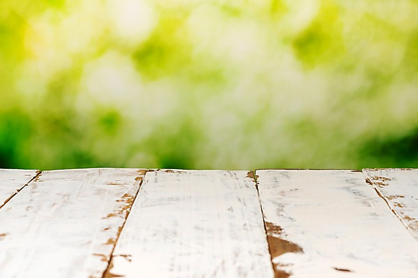 포토 JPG 스튜디오촬영 나무 백그라운드 잎 재질 실내 근접촬영 사람없음 목재 나뭇결 아웃포커스 초록색 갈색 숲 오브젝트 질감 카피스페이스 국내포토 식물 뷰포인트 컬러 재료 촬영기법 내부 공백 파일형식