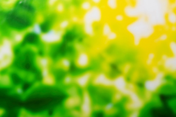 포토 JPG 스튜디오촬영 백그라운드 잎 나뭇잎 실내 근접촬영 사람없음 아웃포커스 초록색 숲 오브젝트 카피스페이스 국내포토 식물 뷰포인트 컬러 촬영기법 내부 공백 파일형식