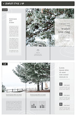 나무 템플릿 표지디자인 표지 ZIP 내지 리플렛 겨울 3단접지 한국 팜플렛 사람없음 야외 회색 눈 소나무 솔잎 나이테 인디자인 INDD 겨울풍경 이미지템플릿 자연요소 식물 계절 아시아 컬러 잎 날씨 풍경 파일형식