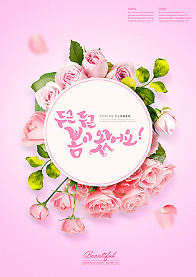 PSD 편집이미지 꽃잎 꽃 분홍색 잎 사람없음 장미 봄 향기 두근두근 카피스페이스 이미지편집 식물 계절 컬러 공백 냄새 파일형식