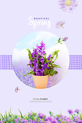 PSD 편집이미지 꽃밭 사람없음 보라색 봄 향기 화사함 라벤더 내츄럴 꽃놀이 봄소풍 카피스페이스 라벤더축제 이미지편집 계절 꽃 컬러 컨셉 소풍 축제 공백 허브 냄새 꽃축제 파일형식