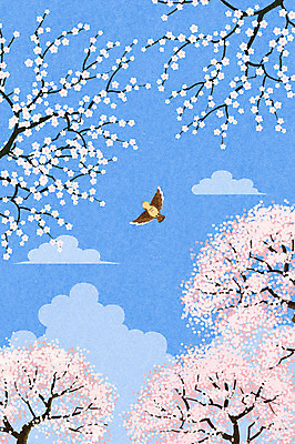 PSD 한마리 백그라운드 일러스트 자연 조류 하늘 사람없음 봄풍경 봄 벚꽃 비행 벚나무 감성 봄배경 국내일러스트 나무 동물 1 계절 꽃 컨셉 풍경 생태계 파일형식