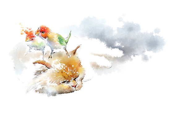 PSD 동물 일러스트 캘리그라피 조류 붓터치 수채화 사람없음 고양이 승차 앵무새 번짐 반려 국내일러스트 포유류 모션 반려동물 파일형식 효과