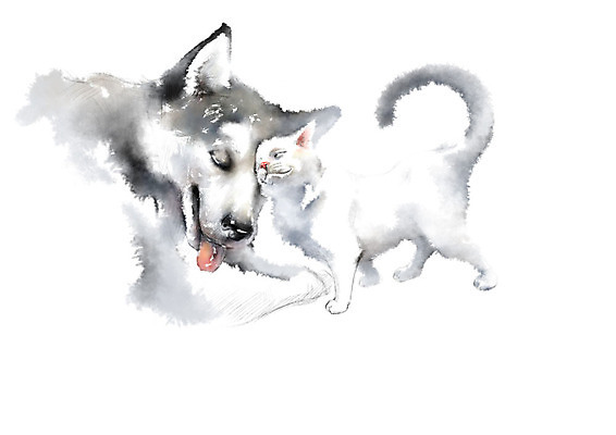 PSD 동물 두마리 일러스트 캘리그라피 붓터치 수채화 사람없음 고양이 강아지 번짐 반려 머리맞대기 국내일러스트 2 포유류 모션 반려동물 개 파일형식 효과