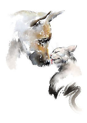 PSD 동물 두마리 일러스트 캘리그라피 붓터치 수채화 사람없음 고양이 강아지 핥기 번짐 반려 국내일러스트 2 포유류 모션 반려동물 개 파일형식 효과