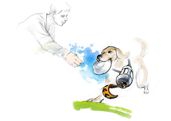 PSD 한마리 남자 일러스트 캘리그라피 붓터치 수채화 한명 사람 상반신 성인 달리기 강아지 연습 번짐 장애 반려 보조기 보조기구 국내일러스트 1 모션 반려동물 기구 개 파일형식 효과