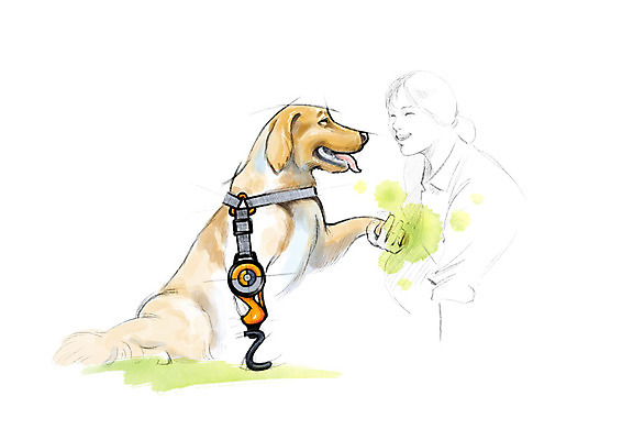 PSD 한마리 응시 여자 일러스트 캘리그라피 붓터치 수채화 사랑 한명 웃음 사람 상반신 성인 잡기 강아지 연습 번짐 장애 반려 보조기 보조기구 국내일러스트 1 시선 감정 모션 표정 반려동물 기구 개 파일형식 효과