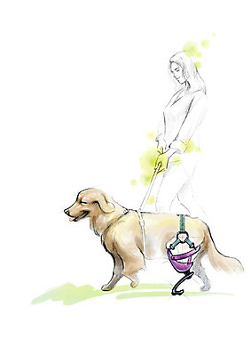 PSD 한마리 여자 일러스트 캘리그라피 붓터치 수채화 한명 사람 상반신 성인 걷기 산책 강아지 연습 번짐 장애 반려 보조기 보조기구 국내일러스트 1 모션 휴식 반려동물 기구 개 파일형식 효과