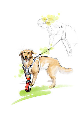 PSD 한마리 여자 일러스트 캘리그라피 붓터치 수채화 한명 미소 사람 상반신 성인 달리기 강아지 연습 번짐 목줄 장애 반려 보조기 국내일러스트 1 모션 표정 반려동물 개 파일형식 효과 반려용품