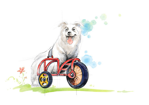 PSD 한마리 일러스트 캘리그라피 붓터치 수채화 사람없음 강아지 연습 휠체어 번짐 장애 반려 보조기 보조기구 국내일러스트 1 반려동물 기구 개 파일형식 효과