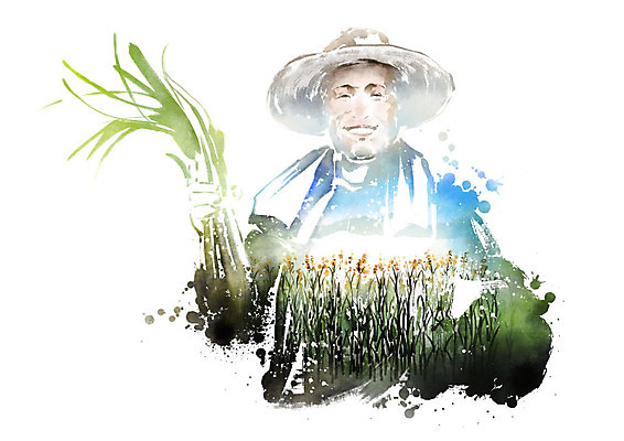 PSD 직업 남자 중년 밭 일러스트 캘리그라피 붓터치 수채화 한명 사람 상반신 수건 농사 농부 밀짚모자 번짐 대파 국내일러스트 모자_잡화 1 농업 성인 위생용품 파 파일형식 효과