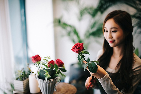 포토 JPG 응시 여자 꽃 행복 화분 여유 한송이 실내 한명 미소 들기 사람 상반신 20대 성인 취미 옆모습 장미 한국인 자르기 꽃집 꽃꽂이 즐거움 조경가위 성인여자한명만 국내포토 식물 1 시선 감정 뷰포인트 모션 가위_도구 표정 동양인 청년 내부 상점 원예 송이 여자한명만 성인여자만 파일형식