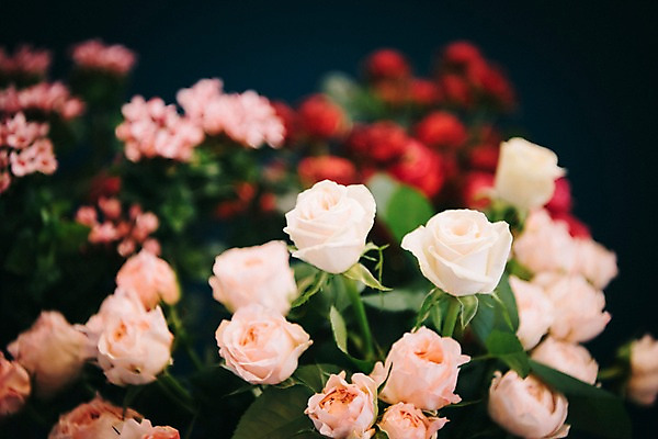 포토 JPG 꽃 여유 실내 근접촬영 취미 사람없음 장미 꽃집 즐거움 국내포토 식물 감정 뷰포인트 내부 상점 파일형식