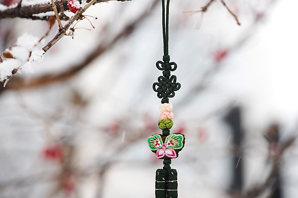 포토 JPG 주간 전통 명절 겨울 전통소품 근접촬영 사람없음 야외 아웃포커스 초록색 흰색 오브젝트 노리개 산수유나무 산수유열매 국내포토 자연요소 나무 계절 기념일 열매 뷰포인트 컬러 촬영기법 파일형식