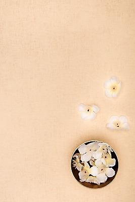 포토 JPG 스튜디오촬영 전통 명절 꽃 날리기 전통소품 실내 누끼 사람없음 하이앵글 오브젝트 놋그릇 베이지색 베이지색배경 플랫레이 국내포토 식물 그릇 기념일 뷰포인트 컬러 백그라운드 모션 내부 플랫 파일형식