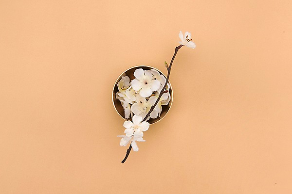 포토 JPG 스튜디오촬영 전통 그릇 명절 꽃 실내 누끼 사람없음 하이앵글 나뭇가지 오브젝트 놋그릇 베이지색 전통그릇 베이지색배경 플랫레이 국내포토 나무 식물 식기 기념일 뷰포인트 컬러 백그라운드 내부 플랫 파일형식