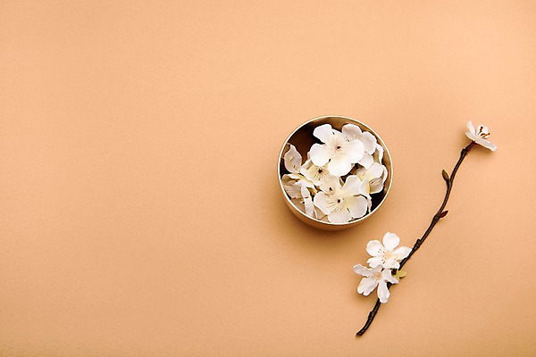 포토 JPG 스튜디오촬영 전통 명절 꽃 실내 누끼 사람없음 하이앵글 벚꽃 나뭇가지 오브젝트 놋그릇 베이지색 전통그릇 베이지색배경 플랫레이 국내포토 나무 식물 그릇 기념일 뷰포인트 컬러 백그라운드 내부 플랫 파일형식