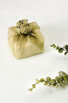 포토 JPG 스튜디오촬영 전통 명절 포장 전통소품 실내 선물 누끼 사람없음 초록색 연두색 상자 보자기 오브젝트 흰배경 유칼립투스 국내포토 식물 기념일 컬러 백그라운드 내부 흰색 파일형식 천_직물