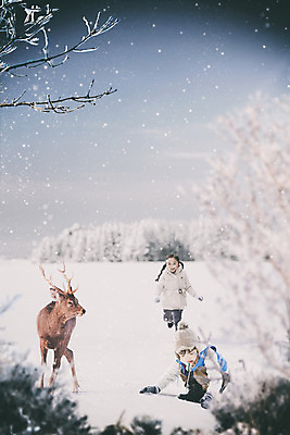 주간 전신 PSD 편집이미지 한마리 여자 남자 어린이 설경 겨울 사슴 남매 앉기 야외 두명 앞모습 걷기 한국인 나뭇가지 눈 디지털합성 즐거움 어린이만 겨울풍경 이미지편집 자연요소 나무 1 계절 감정 뷰포인트 포유류 가족 모션 날씨 사람 동양인 풍경 파일형식