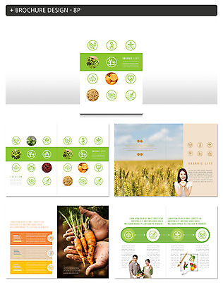 템플릿 라이프스타일 부부 여자 남자 ZIP 40대 중년 채소 논 사람 팜플렛 초원 상반신 20대 성인 생활 신체부위 세명 초록색 농작물 농사 흙 당근 한국인 양손 농부 유기농 인디자인 INDD 청년농부 이미지템플릿 직업 손 웰빙 커플 컬러 농업 뿌리채소 동양인 청년 파일형식
