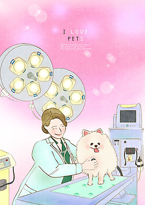 PSD 한마리 여자 반려견 일러스트 청진기 의료기기 조명 한명 미소 사람 상반신 성인 반려동물 진료 강아지 동물병원 수의사 반려 보살핌 성인여자한명만 국내일러스트 동물 1 의학 표정 병원 의사 개 여자한명만 성인여자만 파일형식