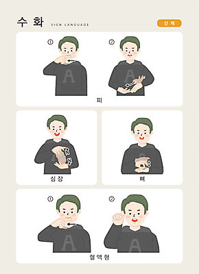 문자 남자 신체 일러스트 손가락 커뮤니케이션 뼈 한명 사람 상반신 한글 심장 혈액 소통 혈액형 지문자 청각장애인 국내일러스트 AI파일 1 손 컨셉 장기_의학 장애인 수화 파일형식 벡터
