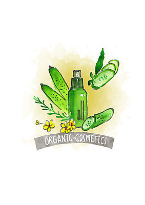 PSD 꽃 잎 일러스트 붓터치 오이 수채화 사람없음 화장품 유기농 천연화장품 국내일러스트 식물 웰빙 채소 뷰티 파일형식