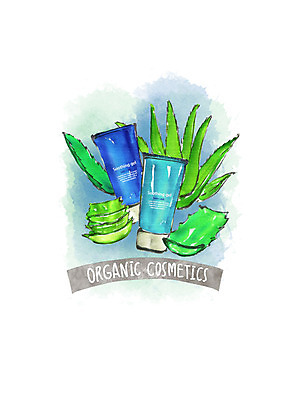 PSD 일러스트 붓터치 수채화 사람없음 화장품 유기농 수분크림 알로에 천연화장품 국내일러스트 식물 웰빙 뷰티 파일형식