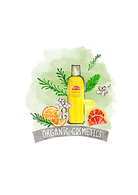 PSD 잎 오렌지 일러스트 붓터치 수채화 사람없음 노란색 화장품 자몽 유기농 천연화장품 국내일러스트 식물 웰빙 컬러 과일 뷰티 파일형식