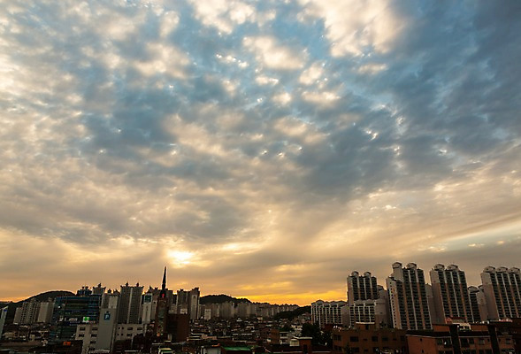 포토 JPG 주간 구름 자연 하늘 한국 풍경 사람없음 야외 건물 노을 맑음 도시 판교 국내포토 자연요소 건축물 아시아 날씨 생태계 분당 파일형식