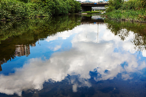 포토 JPG 주간 구름 자연 하늘 한국 풍경 사람없음 야외 파란색 강 반사 맑음 도시 판교 국내포토 자연요소 아시아 컬러 날씨 생태계 분당 파일형식