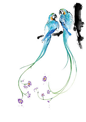 PSD 꽃 두마리 일러스트 캘리그라피 조류 붓터치 수채화 사람없음 파란색 나뭇가지 깃털 번짐 국내일러스트 나무 식물 동물 컬러 2 파일형식 효과