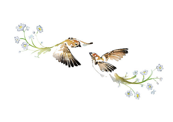 PSD 꽃 두마리 일러스트 캘리그라피 조류 붓터치 수채화 사람없음 비행 번짐 국내일러스트 식물 동물 2 파일형식 효과