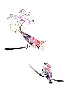 PSD 꽃 두마리 일러스트 캘리그라피 조류 붓터치 수채화 앉기 사람없음 컬러풀 보라색 나뭇가지 번짐 국내일러스트 나무 식물 동물 컬러 2 모션 파일형식 효과