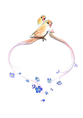 PSD 꽃 두마리 일러스트 캘리그라피 조류 붓터치 수채화 사람없음 깃털 번짐 국내일러스트 식물 동물 2 파일형식 효과