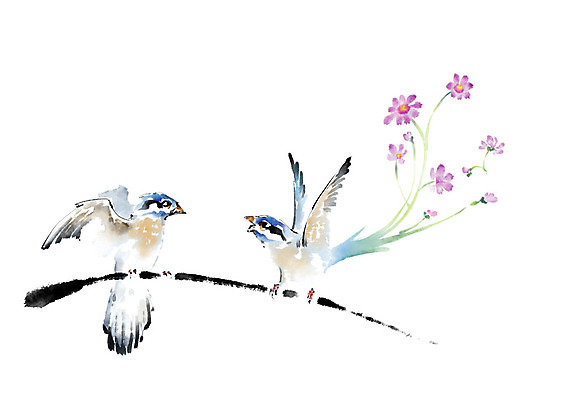 PSD 꽃 두마리 일러스트 캘리그라피 조류 붓터치 수채화 앉기 사람없음 나뭇가지 번짐 국내일러스트 나무 식물 동물 2 모션 파일형식 효과