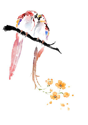 PSD 꽃 두마리 일러스트 캘리그라피 조류 붓터치 수채화 앉기 사람없음 나뭇가지 앵무새 번짐 국내일러스트 나무 식물 동물 2 모션 파일형식 효과