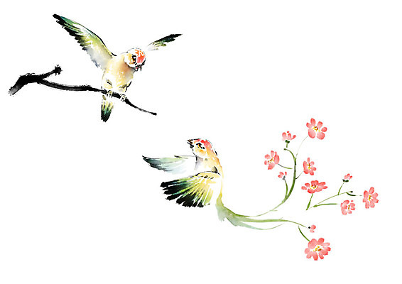 PSD 꽃 두마리 일러스트 캘리그라피 조류 붓터치 수채화 사람없음 나뭇가지 비행 번짐 국내일러스트 나무 식물 동물 2 파일형식 효과